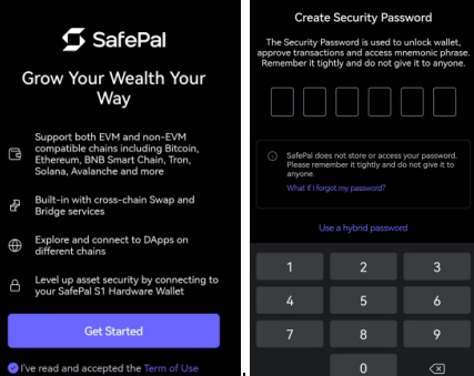 Setting a password on SafePal hardware wallet
