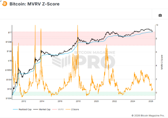 Capital Nexus - By Shepley Capital