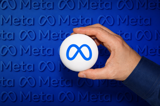 Meta Stablecoin Integration - Shepley Capital